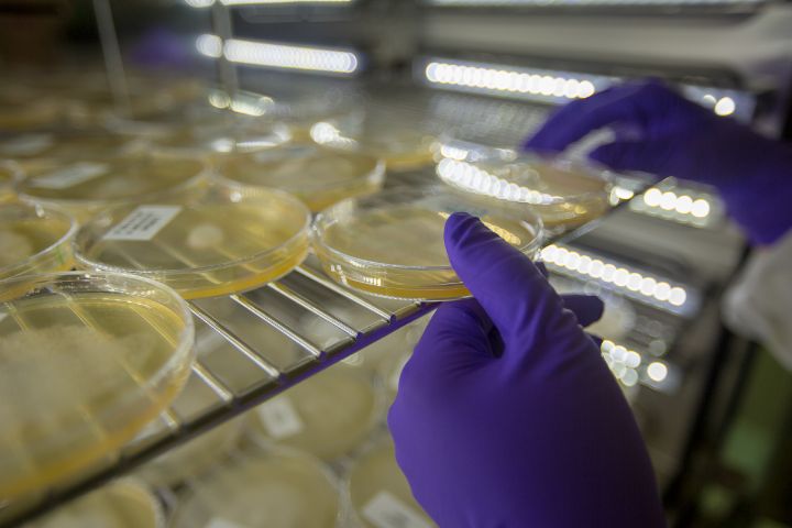 Gestes métiers - Copyright xanata.photo / Thierry Vallée